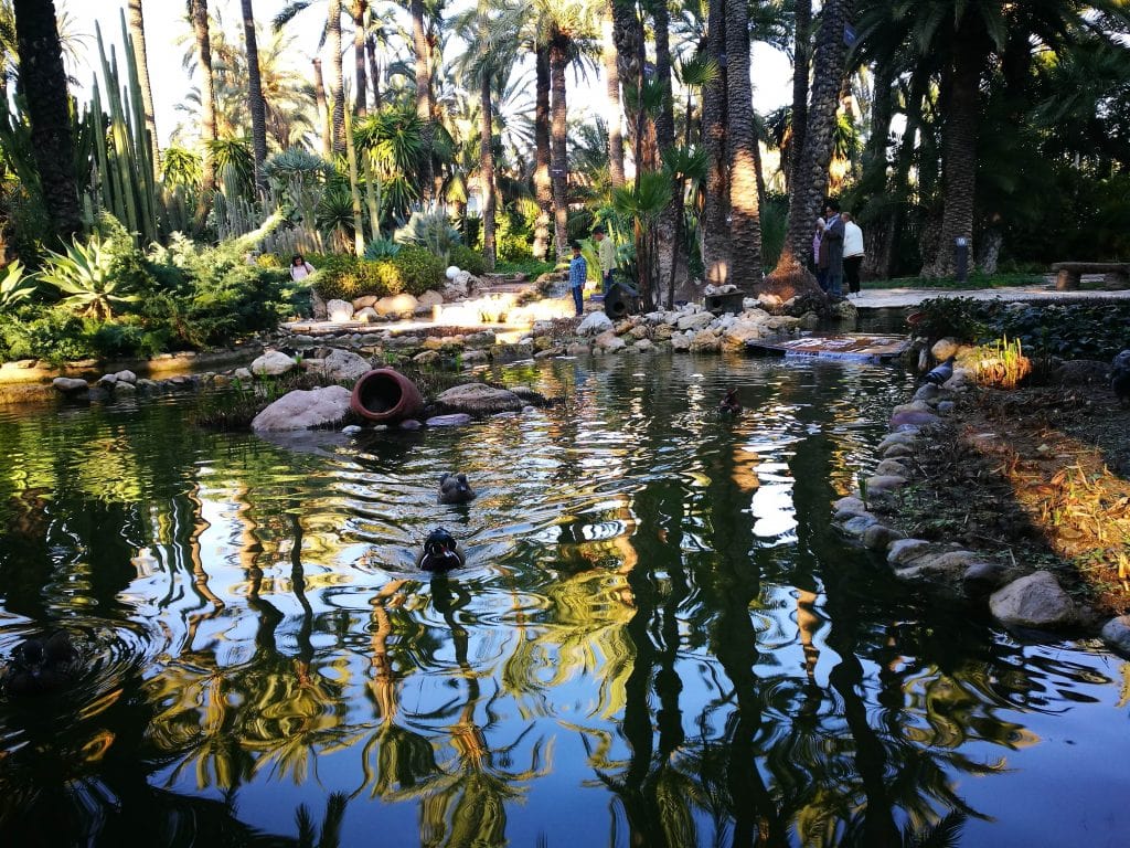Visita huerto del cura Elche